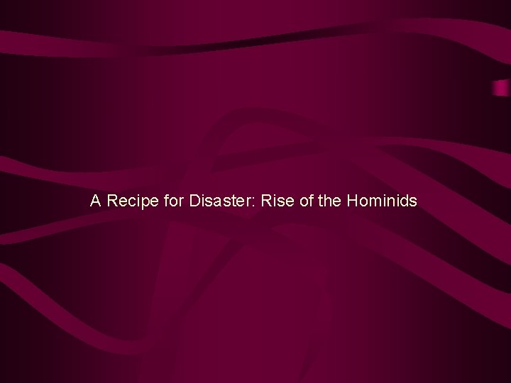 A Recipe for Disaster: Rise of the Hominids 