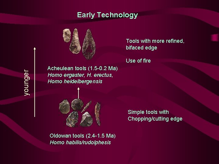 Early Technology Tools with more refined, bifaced edge younger Use of fire Acheulean tools