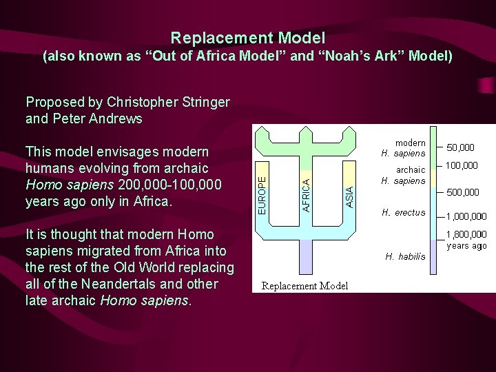 Replacement Model (also known as “Out of Africa Model” and “Noah’s Ark” Model) Proposed
