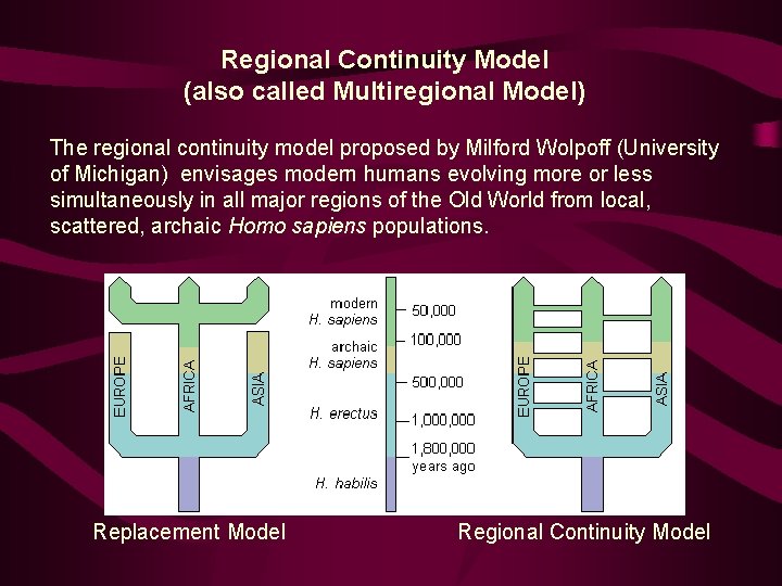 Regional Continuity Model (also called Multiregional Model) The regional continuity model proposed by Milford