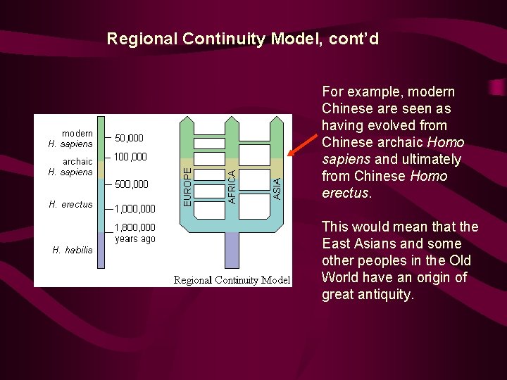 Regional Continuity Model, cont’d For example, modern Chinese are seen as having evolved from