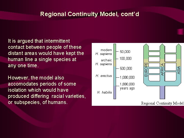 Regional Continuity Model, cont’d It is argued that intermittent contact between people of these