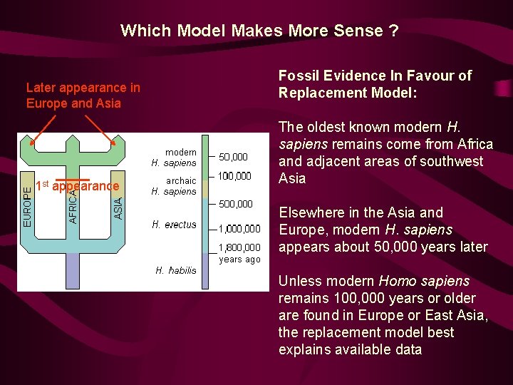 Which Model Makes More Sense ? Later appearance in Europe and Asia 1 st