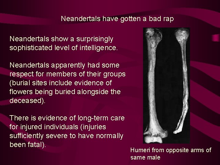 Neandertals have gotten a bad rap Neandertals show a surprisingly sophisticated level of intelligence.