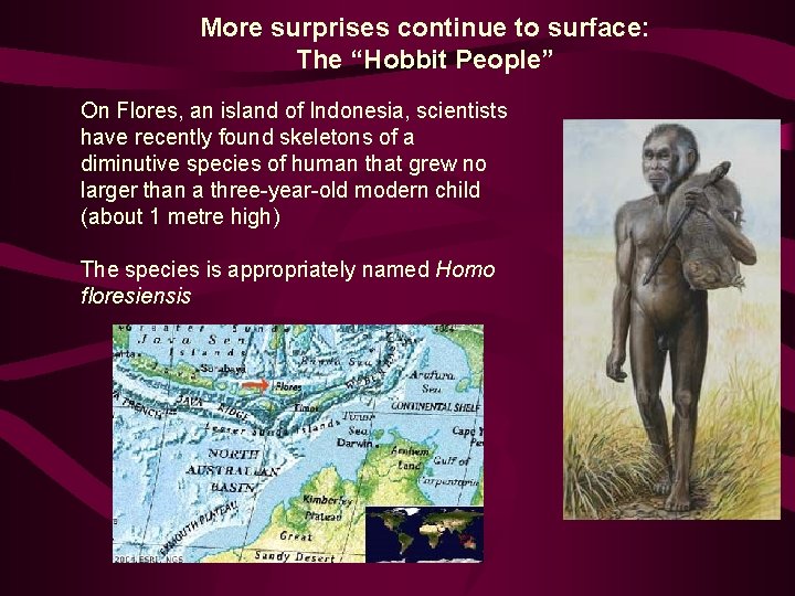 More surprises continue to surface: The “Hobbit People” On Flores, an island of Indonesia,