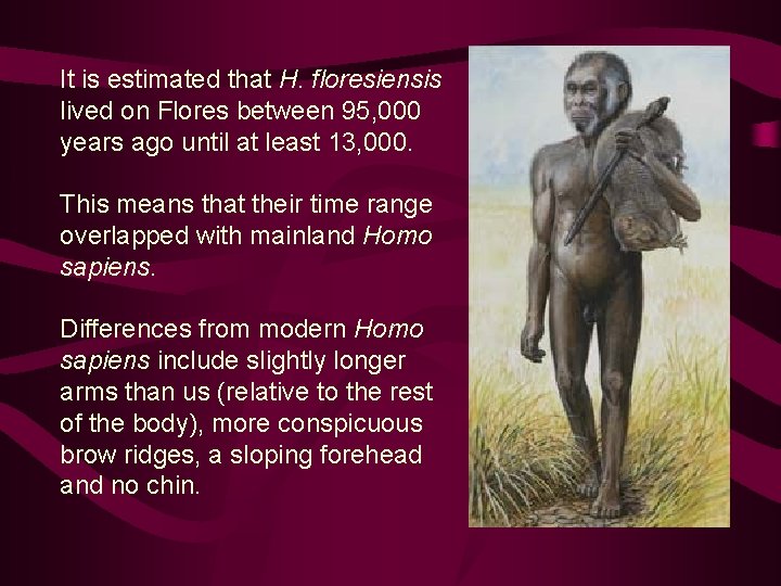 It is estimated that H. floresiensis lived on Flores between 95, 000 years ago