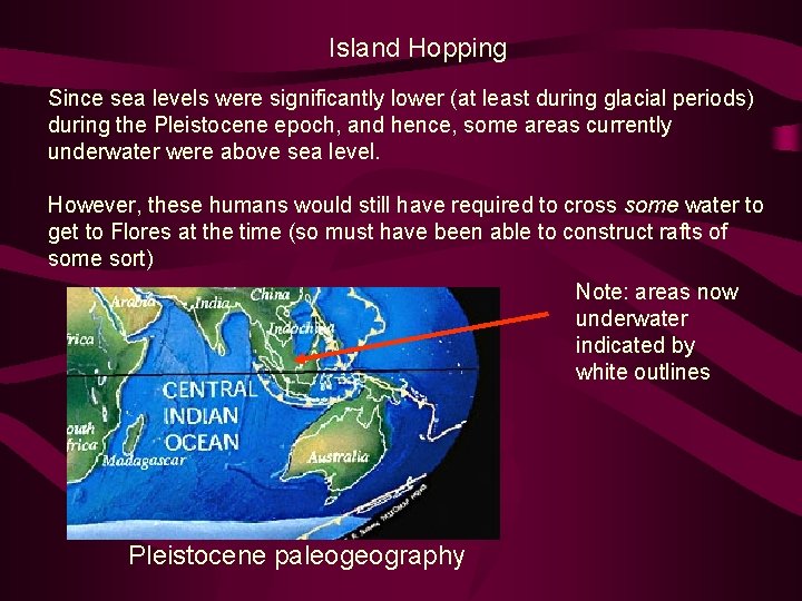 Island Hopping Since sea levels were significantly lower (at least during glacial periods) during