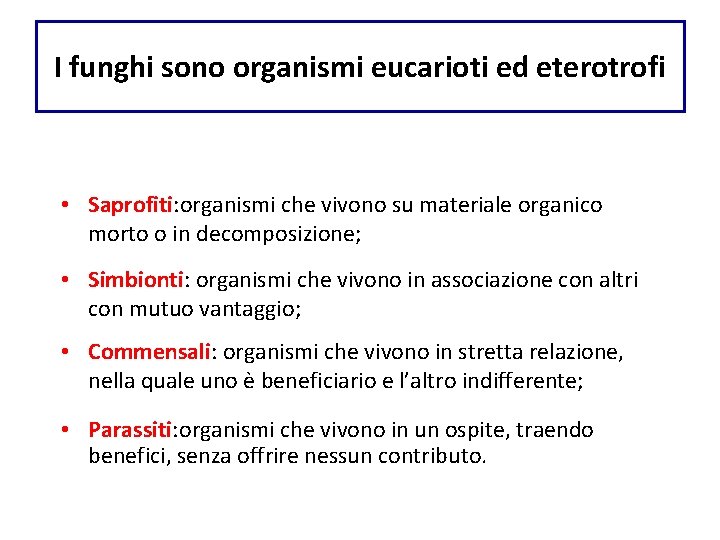 I funghi sono organismi eucarioti ed eterotrofi • Saprofiti: organismi che vivono su materiale I funghi sono organismi eucarioti ed eterotrofi • Saprofiti: organismi che vivono su materiale