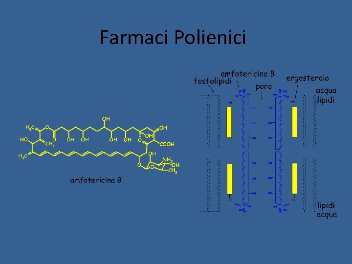 Farmaci Polienici Farmaci Polienici