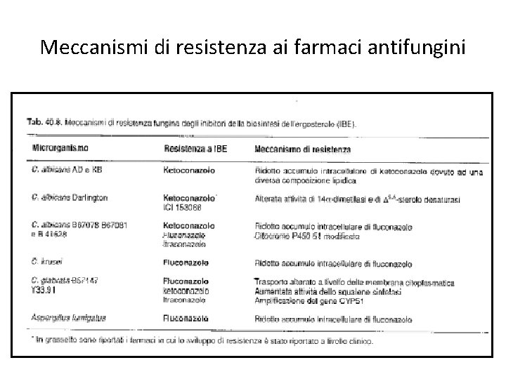 Meccanismi di resistenza ai farmaci antifungini Meccanismi di resistenza ai farmaci antifungini