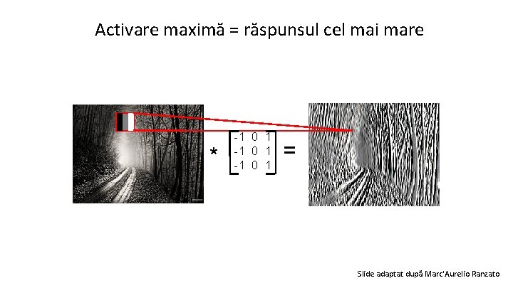 Activare maximă = răspunsul cel mai mare * -1 0 1 = Slide adaptat