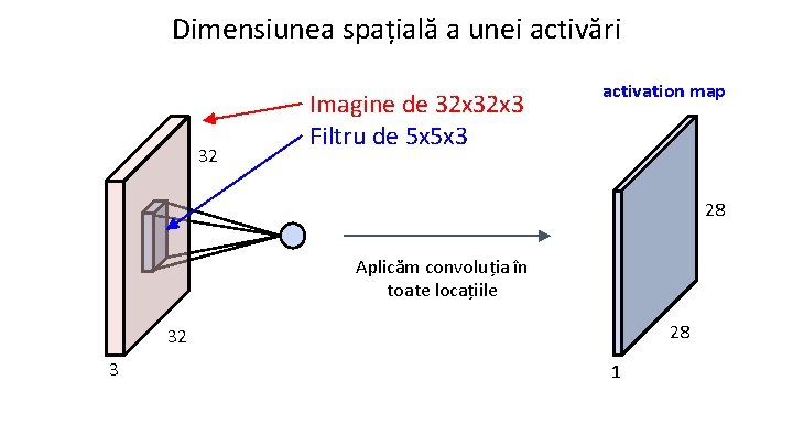Dimensiunea spațială a unei activări 32 Imagine de 32 x 3 Filtru de 5