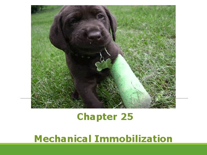 Chapter 25 Mechanical Immobilization 