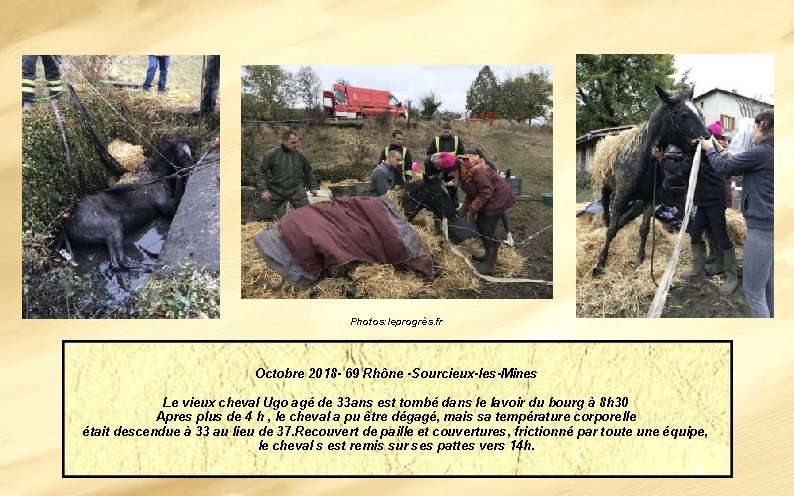 Photos: leprogrès. fr Octobre 2018 - 69 Rhône -Sourcieux-les-Mines Le vieux cheval Ugo agé