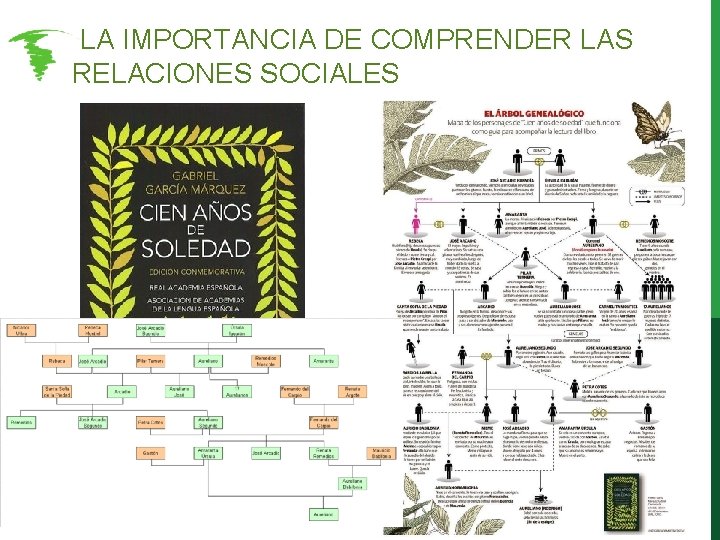LA IMPORTANCIA DE COMPRENDER LAS RELACIONES SOCIALES LA IMPORTANCIA DE COMPRENDER LAS RELACIONES SOCIALES