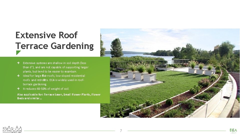 Extensive Roof Terrace Gardening Extensive systems are shallow in soil depth (less than 6"),