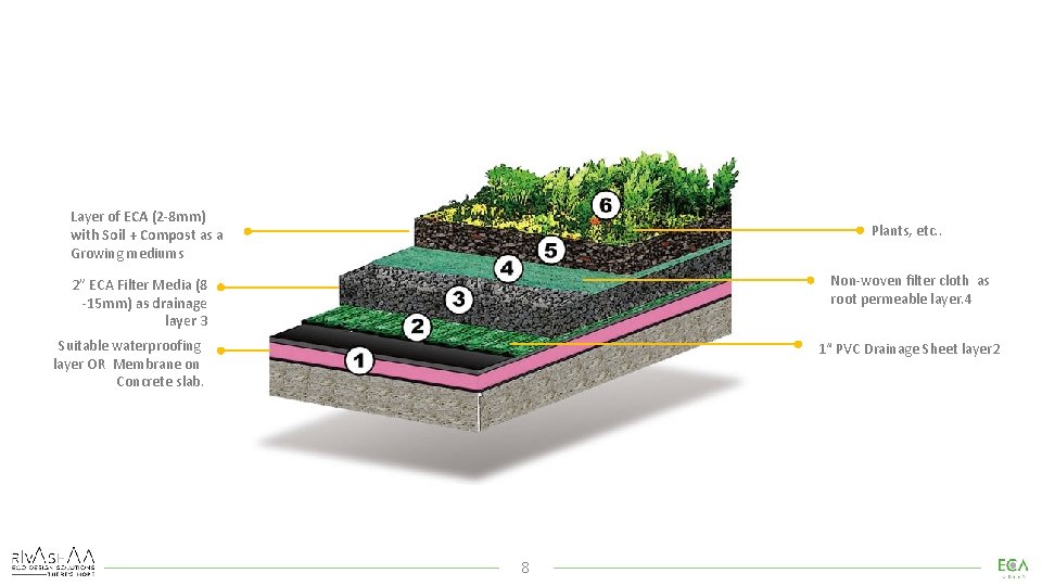 Layer of ECA (2 -8 mm) with Soil + Compost as a Growing mediums