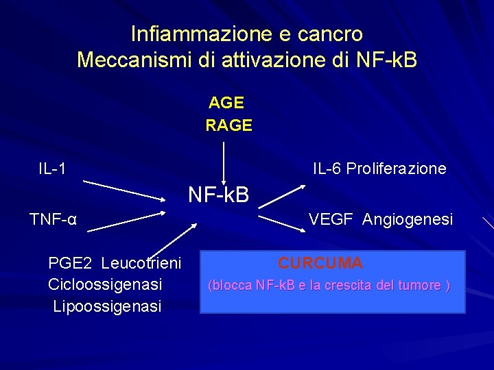 Infiammazione e cancro Meccanismi di attivazione di NF-k. B AGE RAGE IL-1 IL-6 Proliferazione