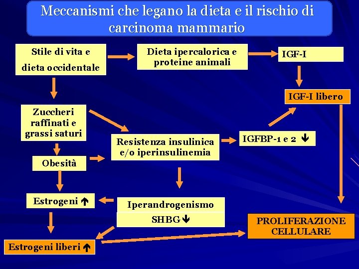 Meccanismi che legano la dieta e il rischio di carcinoma mammario Stile di vita