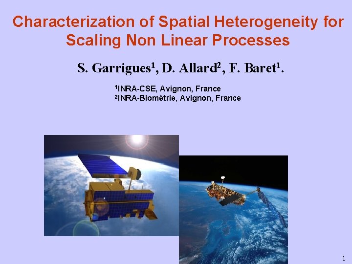Characterization of Spatial Heterogeneity for Scaling Non Linear Processes S. Garrigues 1, D. Allard Characterization of Spatial Heterogeneity for Scaling Non Linear Processes S. Garrigues 1, D. Allard