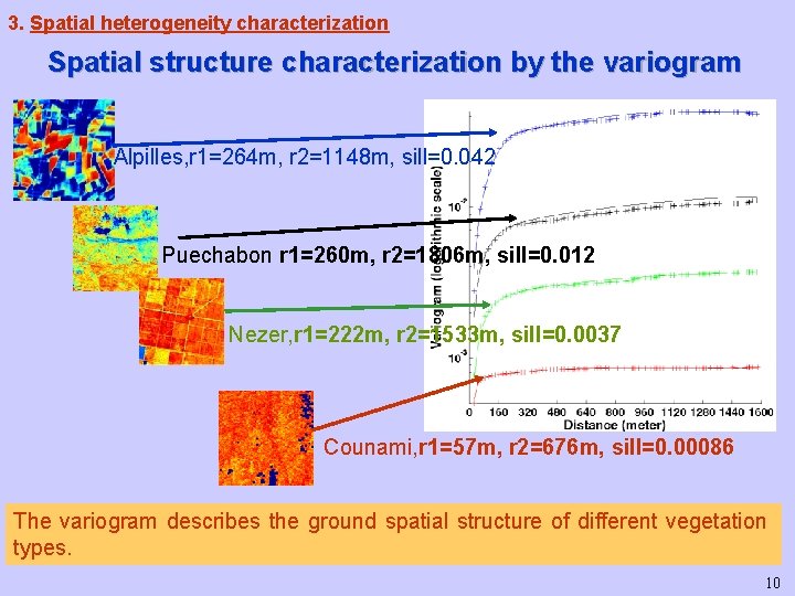 3. Spatial heterogeneity characterization Spatial structure characterization by the variogram Alpilles, r 1=264 m, 3. Spatial heterogeneity characterization Spatial structure characterization by the variogram Alpilles, r 1=264 m,