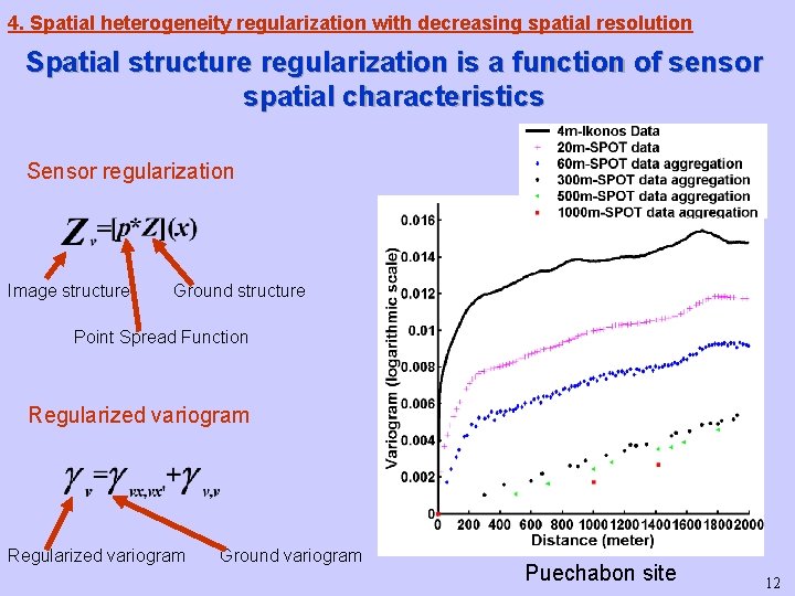 4. Spatial heterogeneity regularization with decreasing spatial resolution Spatial structure regularization is a function 4. Spatial heterogeneity regularization with decreasing spatial resolution Spatial structure regularization is a function