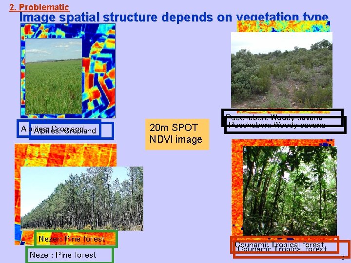 2. Problematic Image spatial structure depends on vegetation type Alpilles: Cropland Nezer: Pine forest 2. Problematic Image spatial structure depends on vegetation type Alpilles: Cropland Nezer: Pine forest