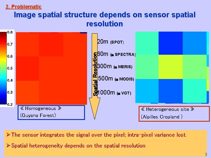 2. Problematic Image spatial structure depends on sensor spatial resolution 20 m (SPOT) Spatial 2. Problematic Image spatial structure depends on sensor spatial resolution 20 m (SPOT) Spatial