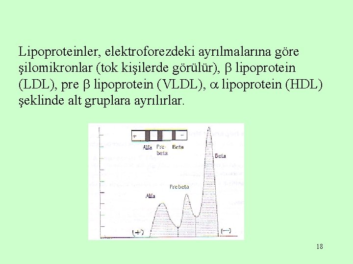 Lipoproteinler, elektroforezdeki ayrılmalarına göre şilomikronlar (tok kişilerde görülür), lipoprotein (LDL), pre lipoprotein (VLDL), lipoprotein