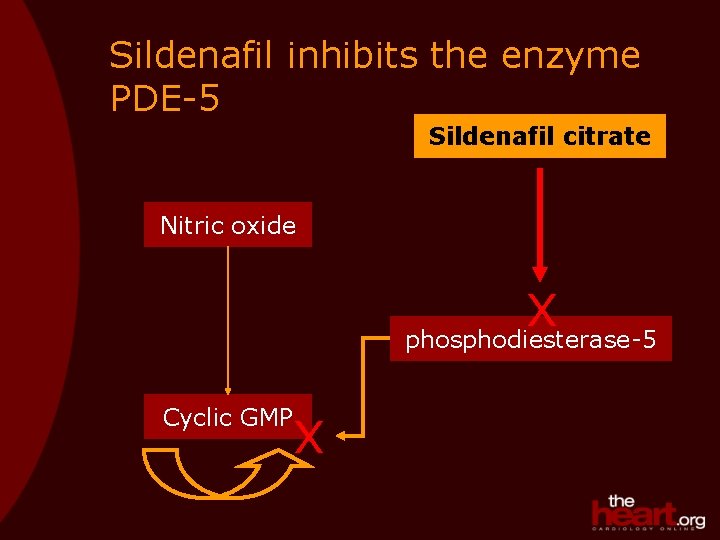 Sildenafil inhibits the enzyme PDE-5 Sildenafil citrate Nitric oxide X phosphodiesterase-5 Cyclic GMP X