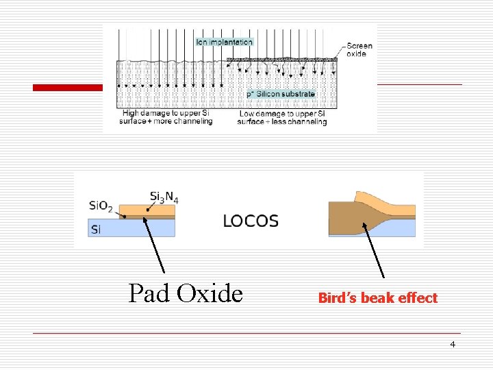 Pad Oxide Bird’s beak effect 4 
