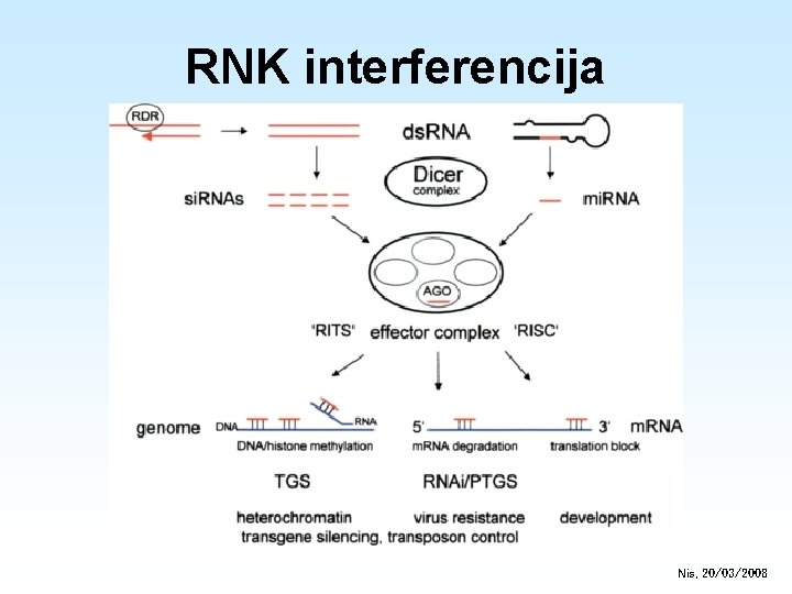 RNK interferencija Nis, 20/03/2008 