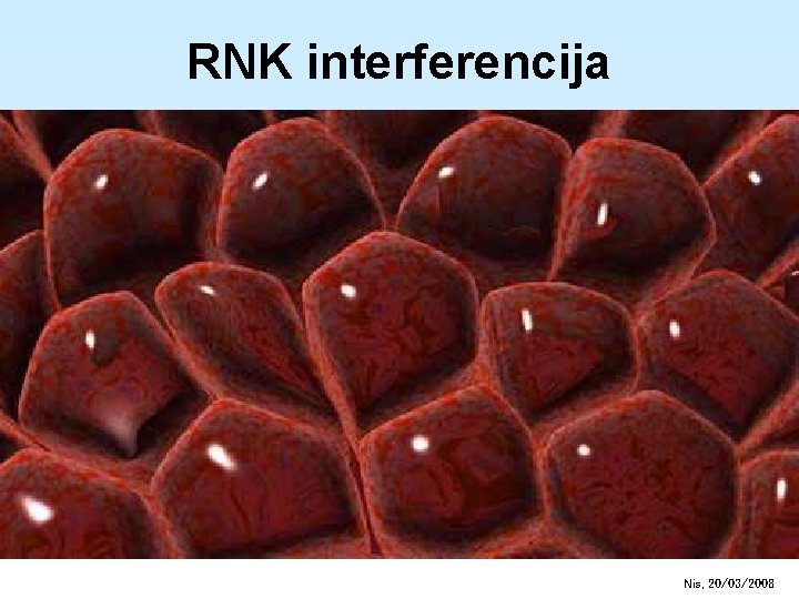 RNK interferencija Nis, 20/03/2008 