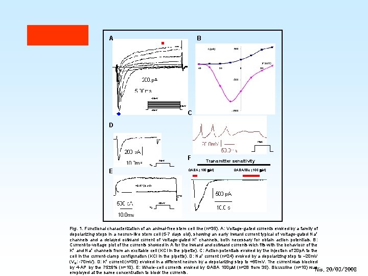 A B +30 m. V -60 m. V -40 m. V C D 20