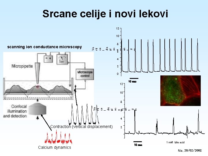 Srcane celije i novi lekovi 12 10 8 Ve rti ca l dis pl