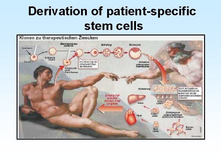 Derivation of patient-specific stem cells 