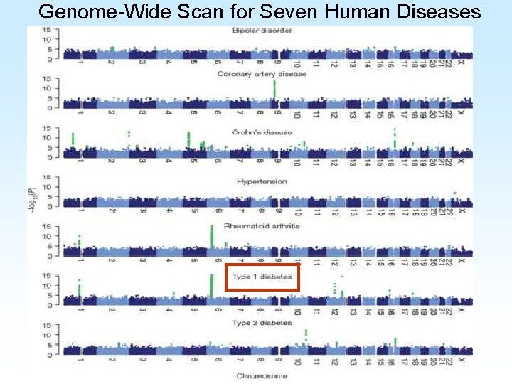 Genome-Wide Scan for Seven Human Diseases 