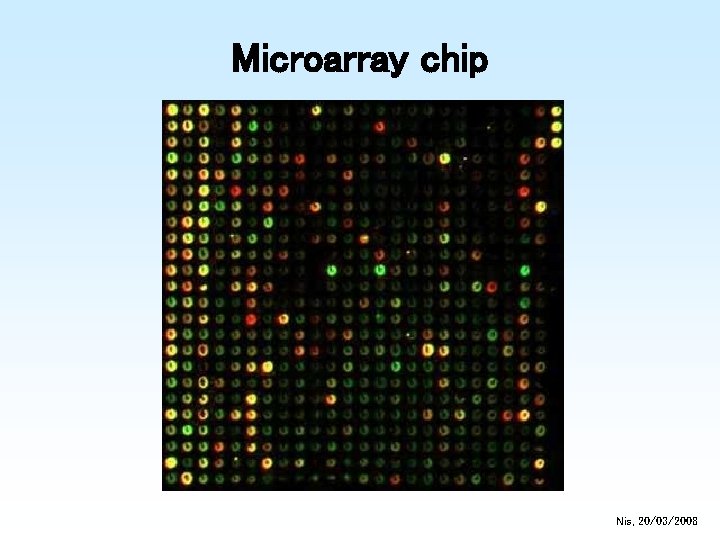 Microarray chip Nis, 20/03/2008 