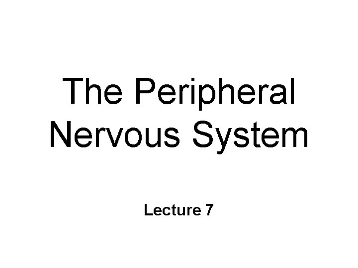 The Peripheral Nervous System Lecture 7 