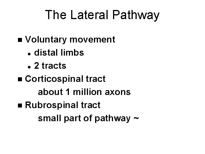 The Lateral Pathway Voluntary movement l distal limbs l 2 tracts n Corticospinal tract