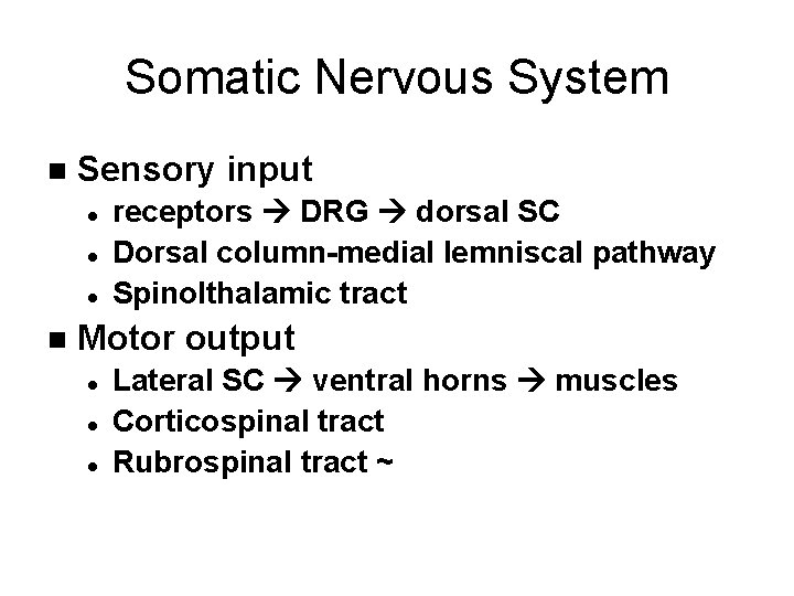 Somatic Nervous System n Sensory input l l l n receptors DRG dorsal SC