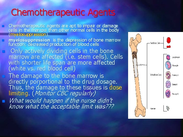 Chemotherapeutic Agents n n n Chemotherapeutic agents are apt to impair or damage cells