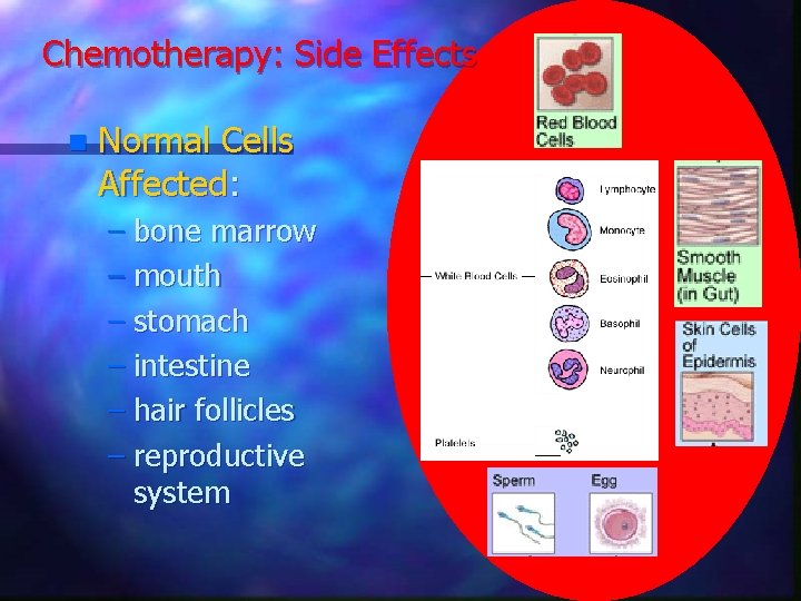 Chemotherapy: Side Effects n Normal Cells Affected: – bone marrow – mouth – stomach