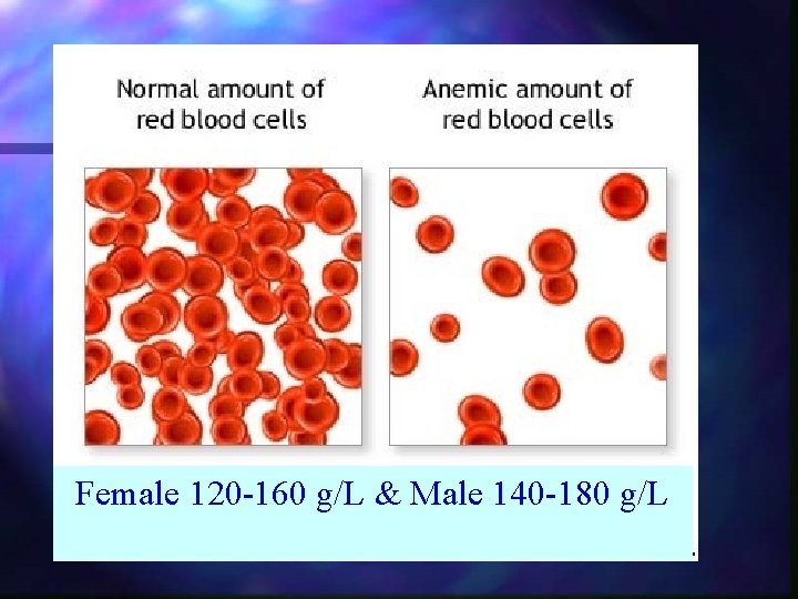 Female 120 -160 g/L & Male 140 -180 g/L 