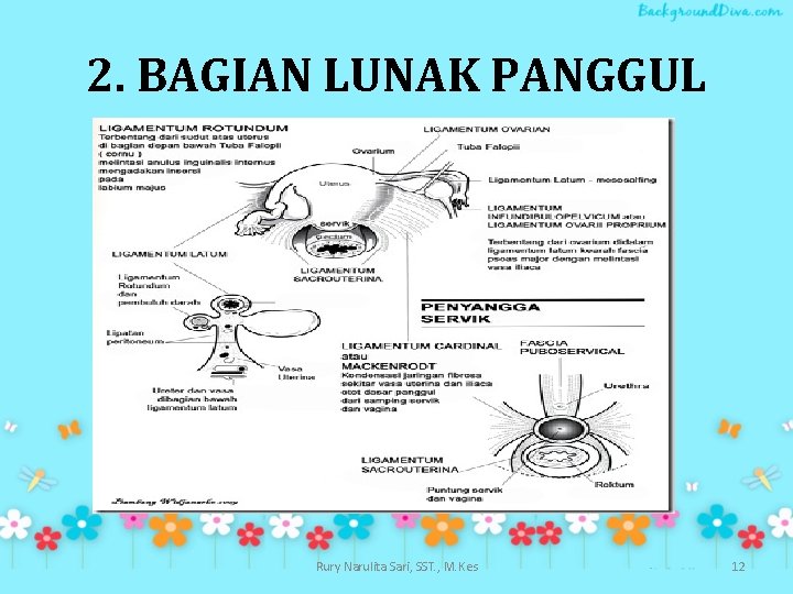 2. BAGIAN LUNAK PANGGUL Rury Narulita Sari, SST. , M. Kes 12 