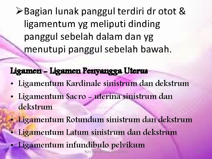 ØBagian lunak panggul terdiri dr otot & ligamentum yg meliputi dinding panggul sebelah dalam