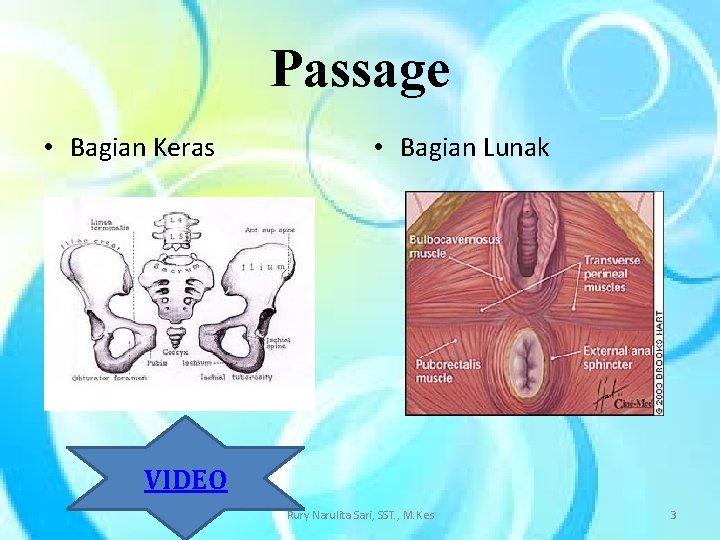 Passage • Bagian Keras • Bagian Lunak VIDEO Rury Narulita Sari, SST. , M.