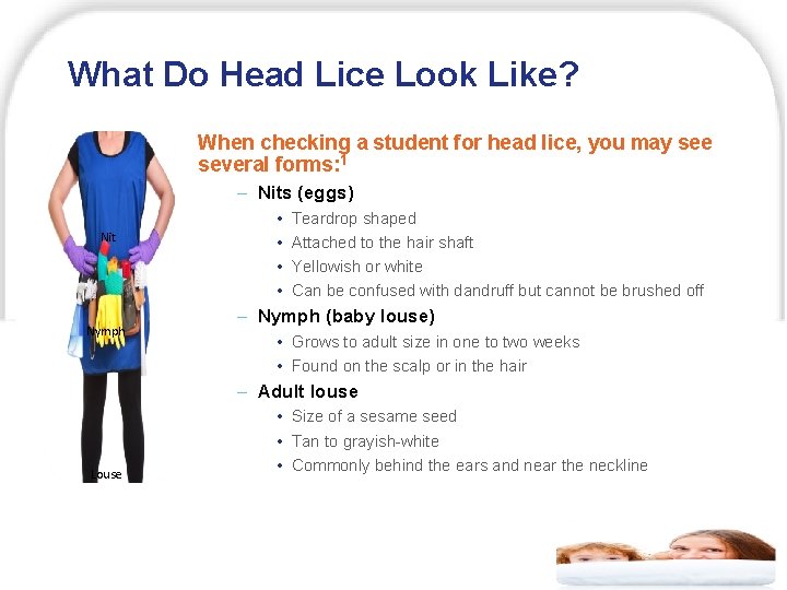 What Do Head Lice Look Like? When checking a student for head lice, you