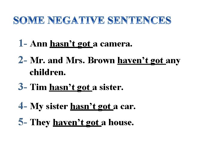 1 - Ann hasn’t got a camera. 2 - Mr. and Mrs. Brown haven’t