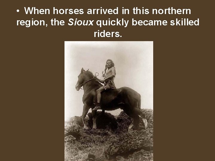  • When horses arrived in this northern region, the Sioux quickly became skilled